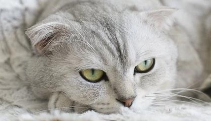 潍坊伴游，定制QQ：3494206190微信：act1322